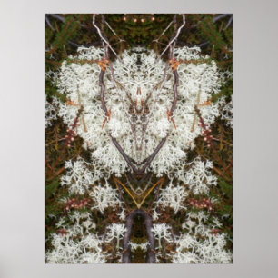 Koningin Elizabeth 1st Lichen Poster