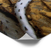 Koningin Elizabeth I: Coronatie Poster (Hoek)