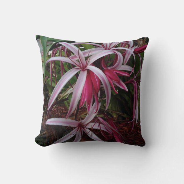 Koningin Emma's Paarse Crinum Lily Kussen (Voorkant)