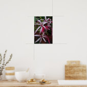 Koningin Emma's Paarse Crinum Lily Poster (Keuken)
