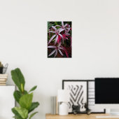 Koningin Emma's Paarse Crinum Lily Poster (Thuiskantoor)
