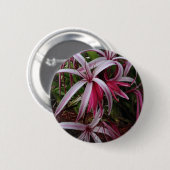 Koningin Emma's Paarse Crinum Lily Ronde Button 5,7 Cm (Voorkant /achterkant)
