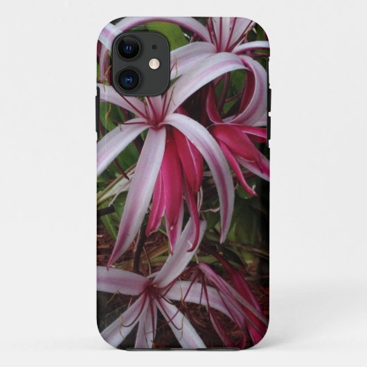 Koningin Emma's Paarse Crinumlelie Case-Mate iPhone Case (Achterkant)