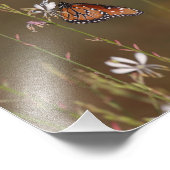 koningin en molenroos foto afdruk (Hoek)