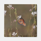 koningin en molenroos magneet (Voorkant)