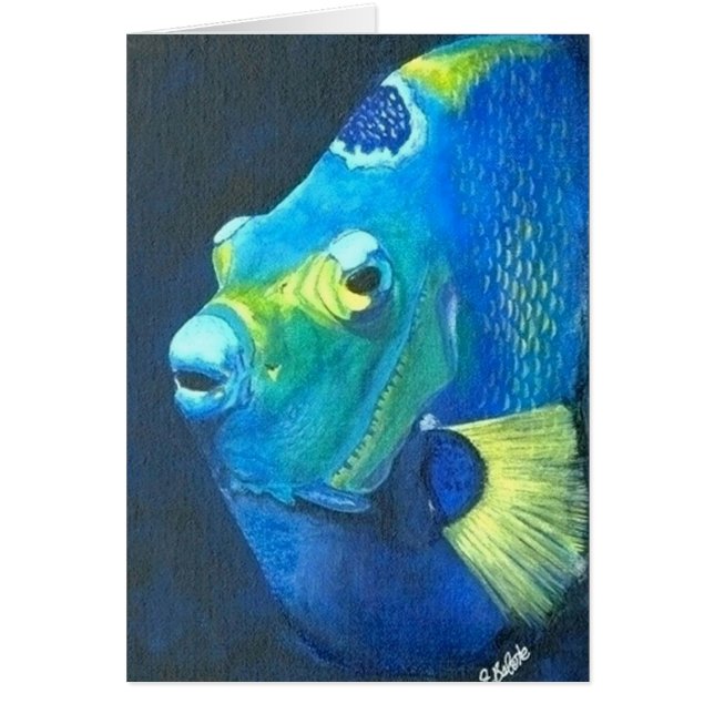 koningin-engelvis (Voorkant)