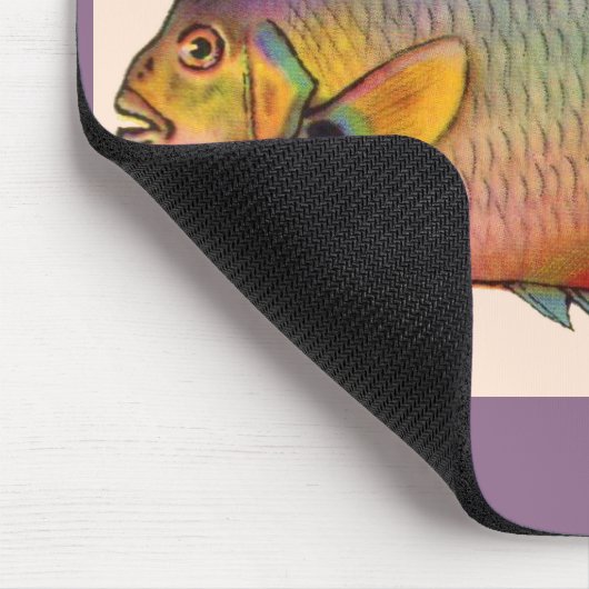 koningin-engelvis muismat (Hoek)