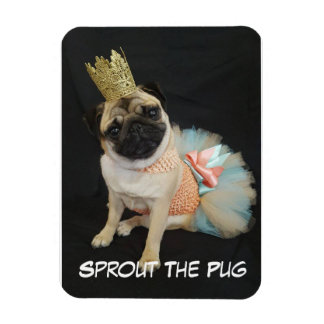 Koningin fotomagneet magneet