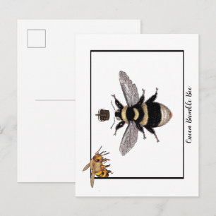 Koningin hommel briefkaart