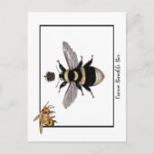 Koningin hommel briefkaart (Voorkant)