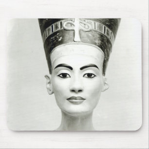 Koningin Nefertiti Muismat
