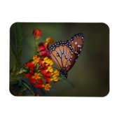 Koningin op tropische moosenkroos magneet (Horizontaal)