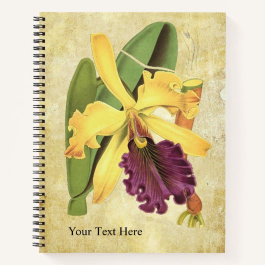Koningin Orchidee Notitieboek (Voorkant)