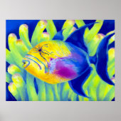 koningin poster (Voorkant)