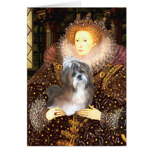 Koningin - Shih Tzu 8 (bruin-wit)