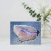 Koningin (Strombus gigas) Shell Briefkaart (Staand voorkant)