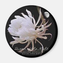 Koningin van de マ グ ッ ト magneet