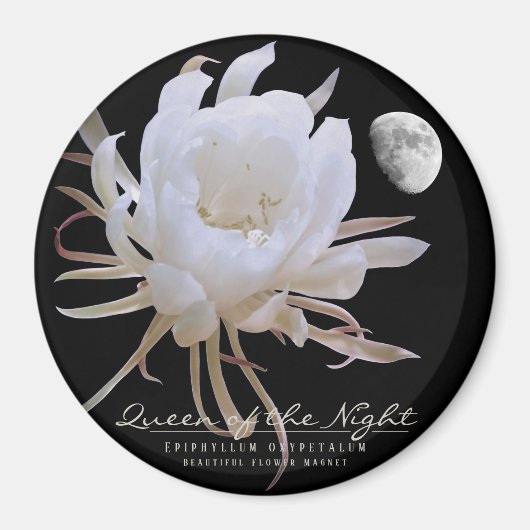 Koningin van de マ グ ッ ト magneet (Voorkant)