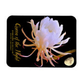 Koningin van de マ グ ッ ト magneet (Horizontaal)