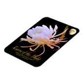 Koningin van de マ グ ッ ト magneet (Linkerzijde)