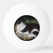 Koningin van de Garden Kat Ping Pong Ball (Voorkant)