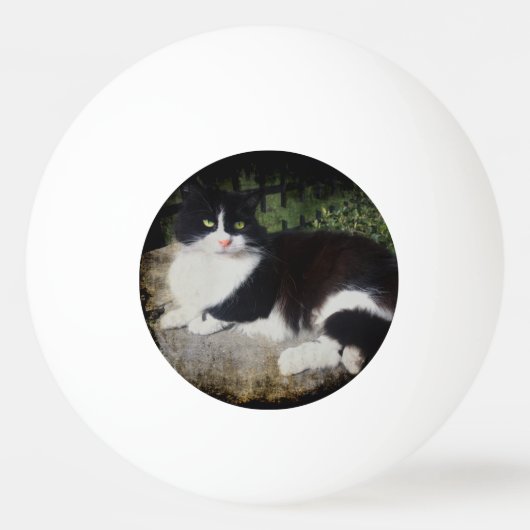 Koningin van de Garden Kat Ping Pong Ball (Voorkant)