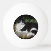 Koningin van de Garden Kat Ping Pong Ball (Achterkant)