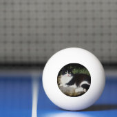 Koningin van de Garden Kat Ping Pong Ball (Net)