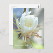 Koningin van de nacht :Briefkaart Briefkaart (Voorkant / Achterkant)