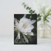 Koningin van de nacht :Briefkaart Briefkaart (Staand voorkant)