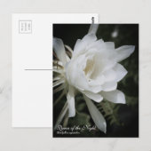Koningin van de nacht :Briefkaart Briefkaart (Voorkant / Achterkant)