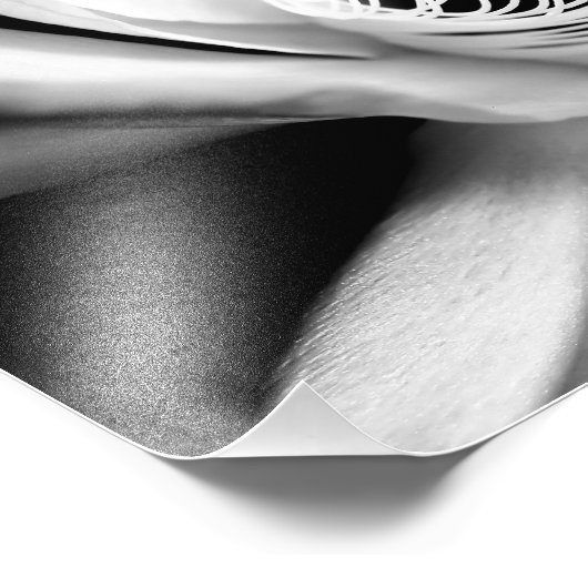 Koningin van de nacht in het zwart-wit foto afdruk (Hoek)