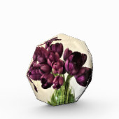 Koningin van de Nacht Tulpen Fotoblokken (Links)