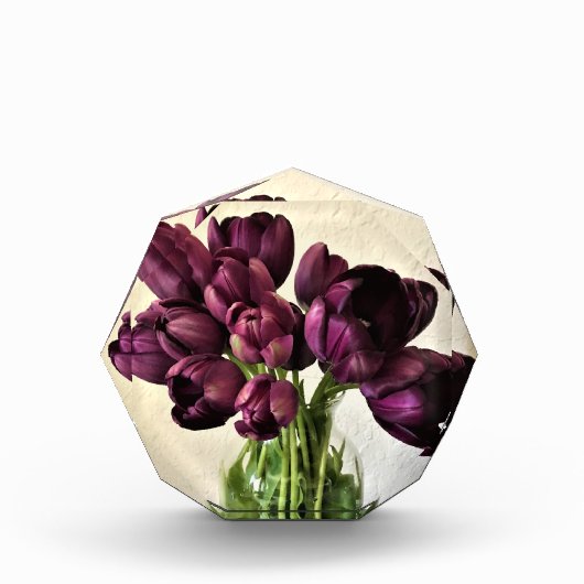 Koningin van de Nacht Tulpen Fotoblokken (Voorkant)