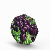 Koningin van de Nacht Tulpen Fotoblokken (Rechts)