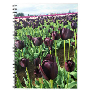Koningin van de Nacht Tulpen, Oregon Notitieboek