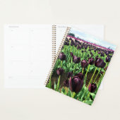 Koningin van de Nacht Tulpen, Oregon Planner (Display)