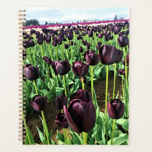 Koningin van de Nacht Tulpen, Oregon Planner (Voorkant)