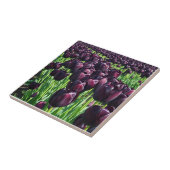 Koningin van de Nacht Tulpen Tegeltje (Zijkant)
