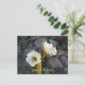 koningin van de nachtcactus briefkaart (Staand voorkant)