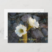 koningin van de nachtcactus briefkaart (Voorkant / Achterkant)