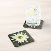 koningin van de nachtslagerij in Karoo Bier Onderzetter (Rechterzijde)