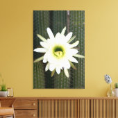 koningin van de nachtslagerij in Karoo Canvas Afdruk (Insitu (Woonkamer))