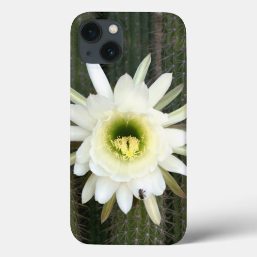 koningin van de nachtslagerij in Karoo Case-Mate iPhone Case (Achterkant)