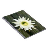 koningin van de nachtslagerij in Karoo Notitieboek (Rechterzijde)