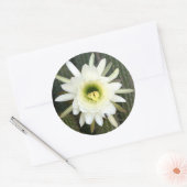 koningin van de nachtslagerij in Karoo Ronde Sticker (Envelop)