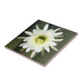 koningin van de nachtslagerij in Karoo Tegeltje (Zijkant)