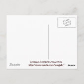 KONINGIN VAN DE WINKEL COLLECTIE BRIEFKAART (Achterkant)
