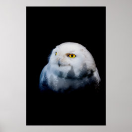 koningin van het bos poster