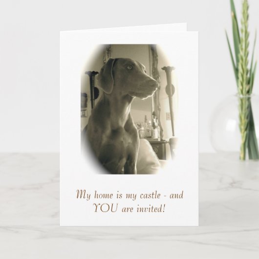 Koningin van het kasteel (Voorkant)